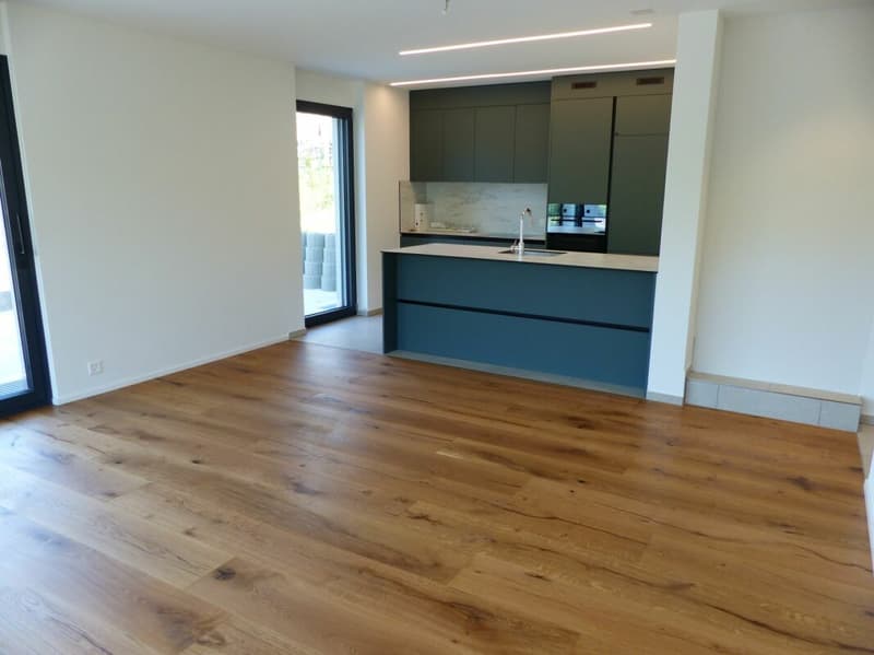 ATTRAKTIVES 4.5 ZIMMER-DEFH ZUM MIETEN / NEUBAU (3)