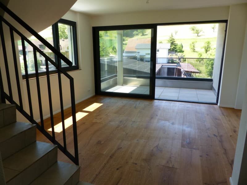 ATTRAKTIVE 4.5 ZIMMER-ATTIKA ZUM MIETEN / NEUBAU (9)