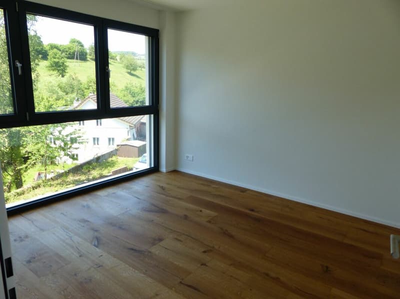 ATTRAKTIVE 4.5 ZIMMER-ATTIKA ZUM MIETEN / NEUBAU (11)