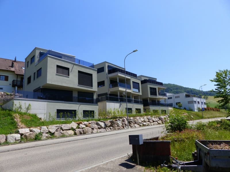 ATTRAKTIVE 5.5 Zimmer DEFH ZUM MIETEN / NEUBAU (16)