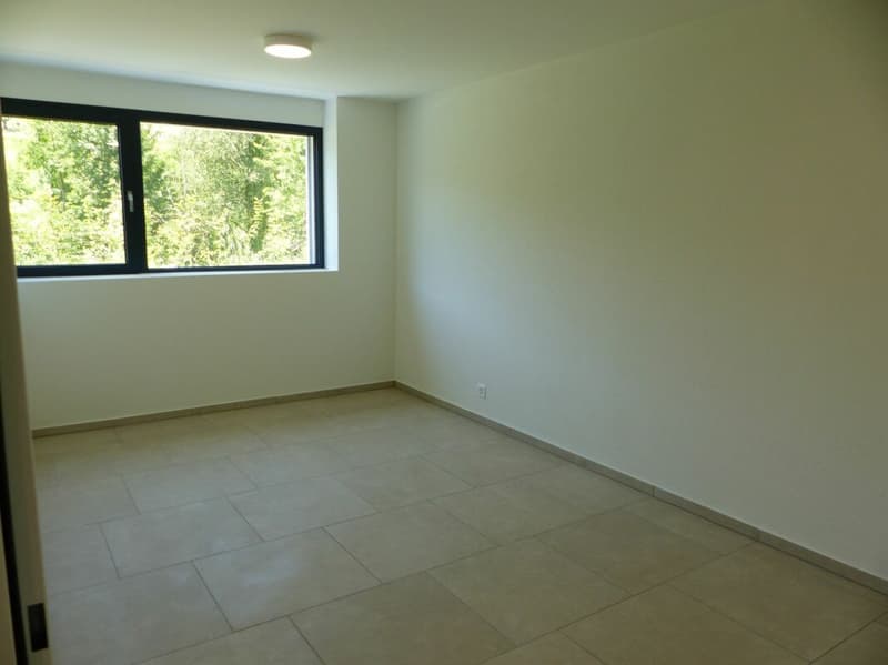ATTRAKTIVE 5.5 Zimmer DEFH ZUM MIETEN / NEUBAU (11)