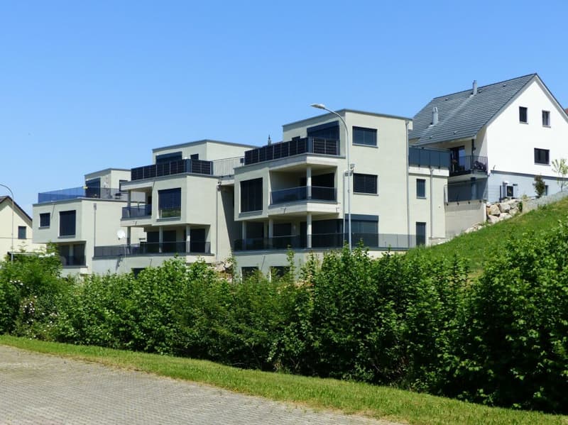 ATTRAKTIVE 4.5 ZIMMER-ATTIKA ZUM MIETEN / NEUBAU (16)