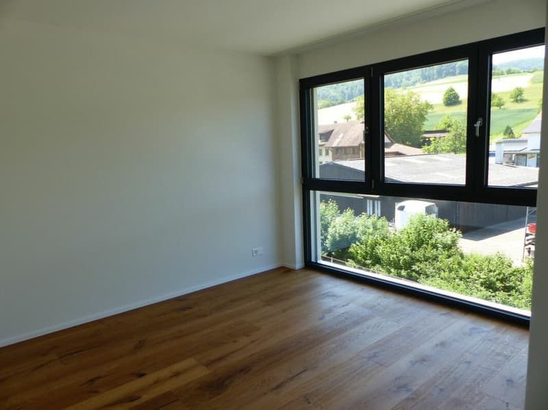 ATTRAKTIVE 4.5 ZIMMER-ATTIKA ZUM MIETEN / NEUBAU (14)