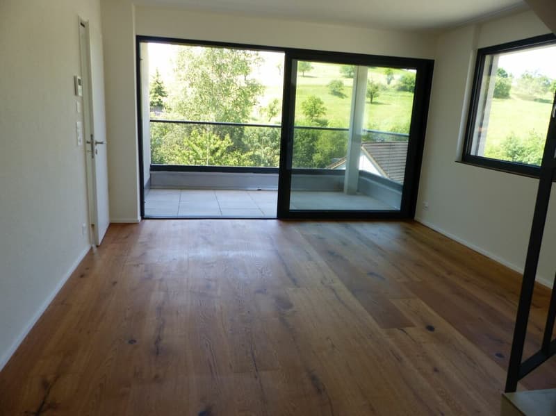 ATTRAKTIVE 4.5 ZIMMER-ATTIKA ZUM MIETEN / NEUBAU (11)
