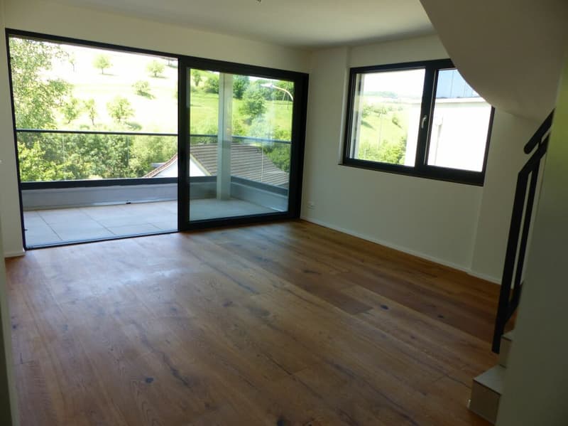 ATTRAKTIVE 4.5 ZIMMER-ATTIKA ZUM MIETEN / NEUBAU (10)