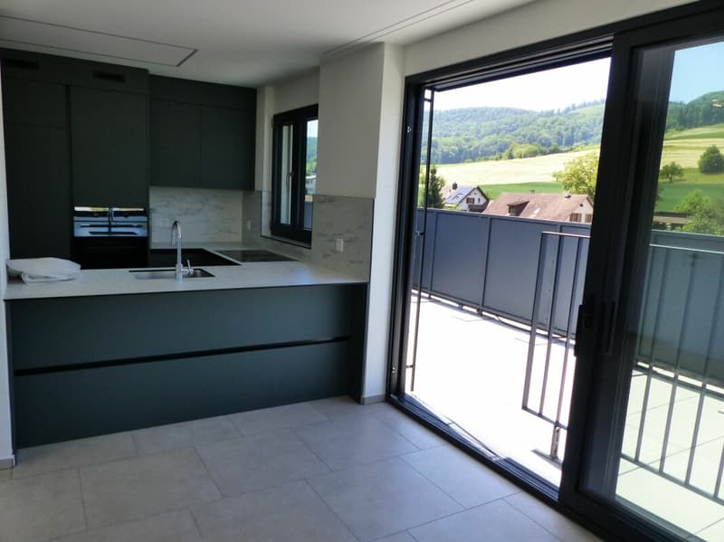 ATTRAKTIVE 4.5 ZIMMER-ATTIKA ZUM MIETEN / NEUBAU (4)