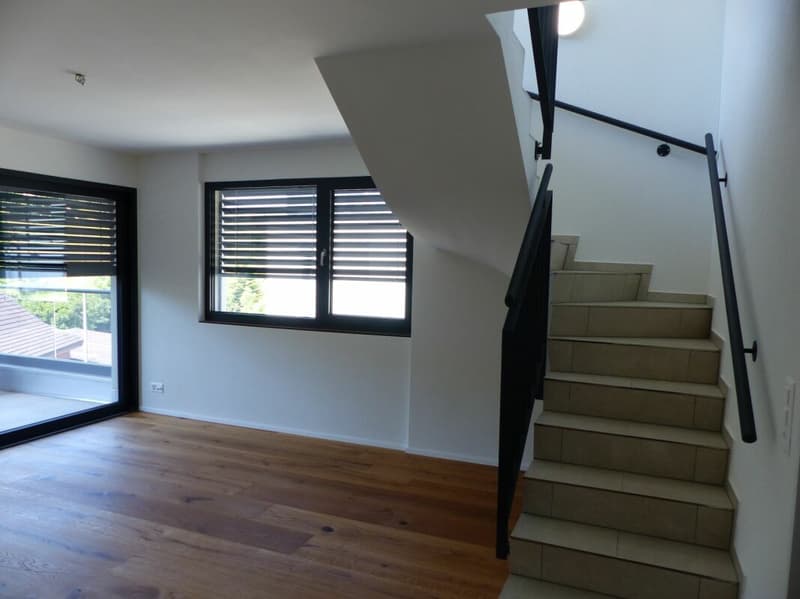 ATTRAKTIVE 4.5 ZIMMER-ATTIKA ZUM MIETEN / NEUBAU (9)