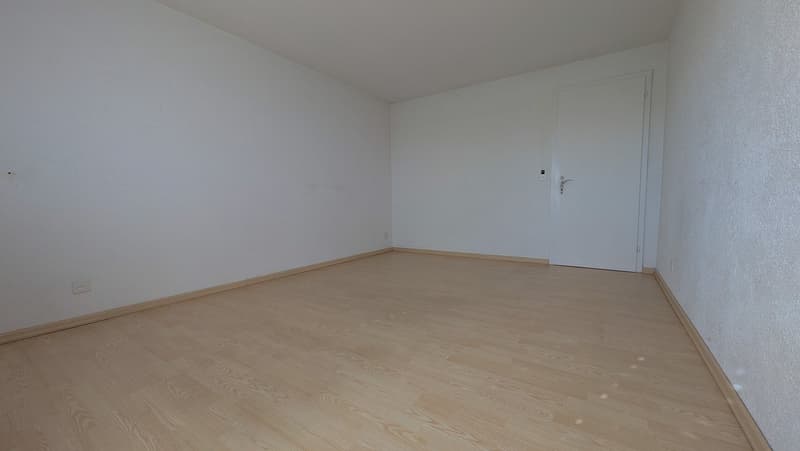 Unfurnished Room. Empty room with light blue walls and wooden flooring, featuring a single white door.