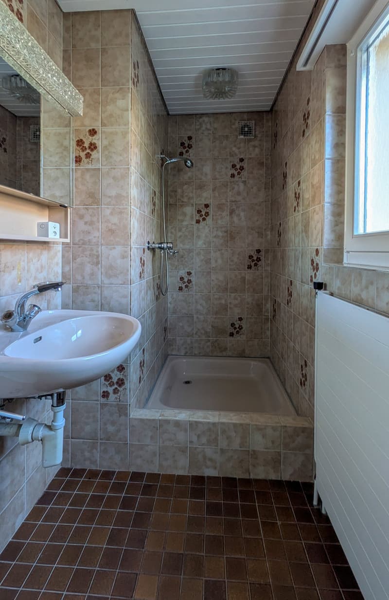 Bathroom with shower, sink, mirror, and radiator