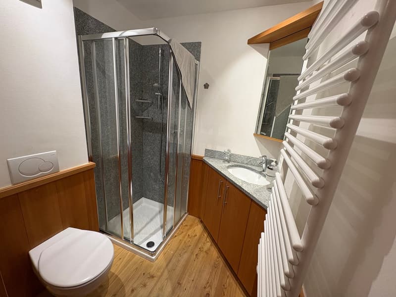 walk-in shower, white sink, wooden cabinets, wooden floor, mirror