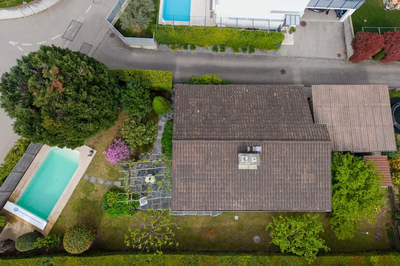 House with swimming pool, brown roof, garden, trees, pathway