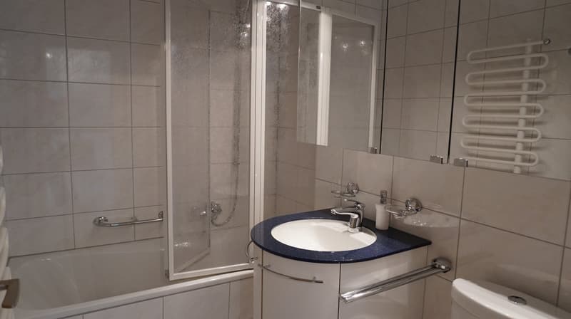 Davos Platz - 2-Zimmer-Ferienwohnung (4)
