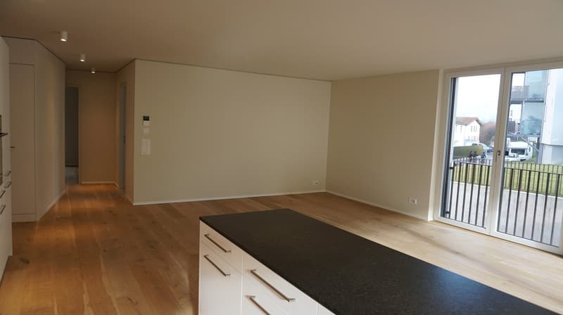 Domat/Ems - 4½-Zimmer-Gartenwohnungen (1)