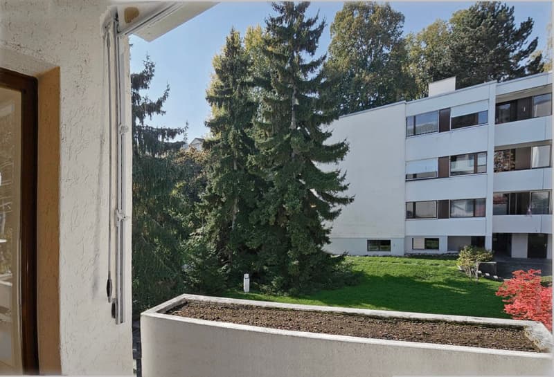 geräumige Aussicht in Bottmingen, 3 1/2 Zimmer (9)