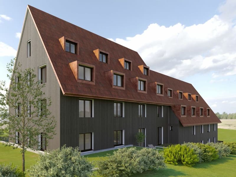 Niedermatt_W5 (2)