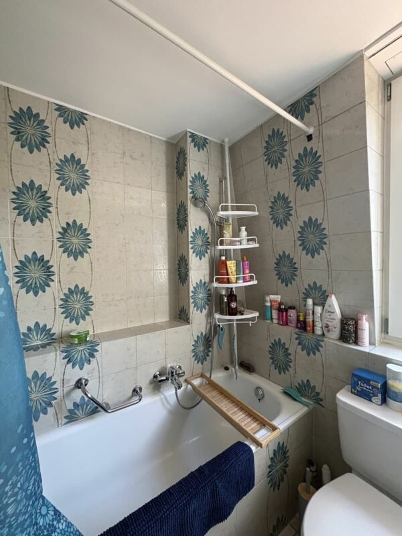 Charmante 2-Zimmerwohnung mit Altbauflair im Grünen (7)