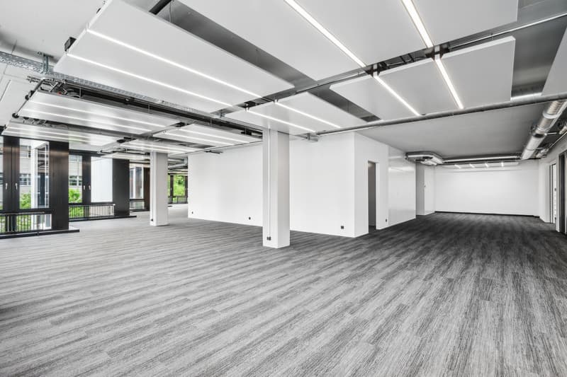 Top ausgebautes Büro: 4-6 Monate Nettomietzinsfrei: Jetzt zuschlagen! (5)