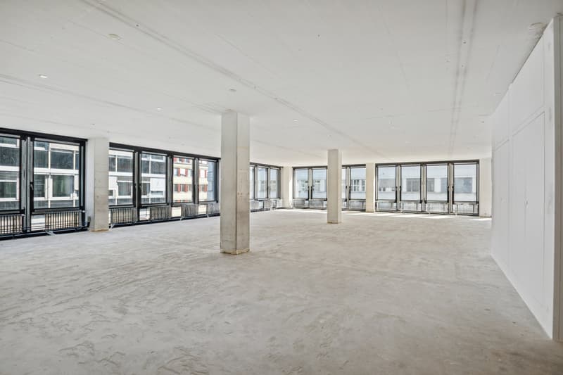 Top Büro: 4-6 Monate Nettomietzinsfrei: Jetzt zuschlagen! (3)