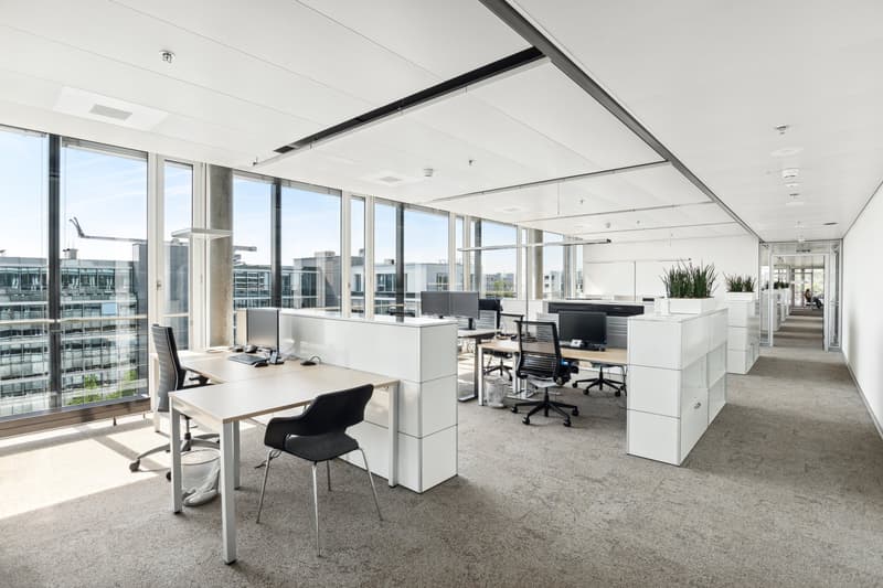 Eine ganze Etage für Ihr Unternehmen - 1'838 m² nahe Flughafen Zürich (3)