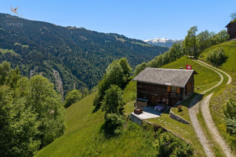 Charaktervolles Ferienhaus mit traumhafter Fernsicht über das Prättigau (3)