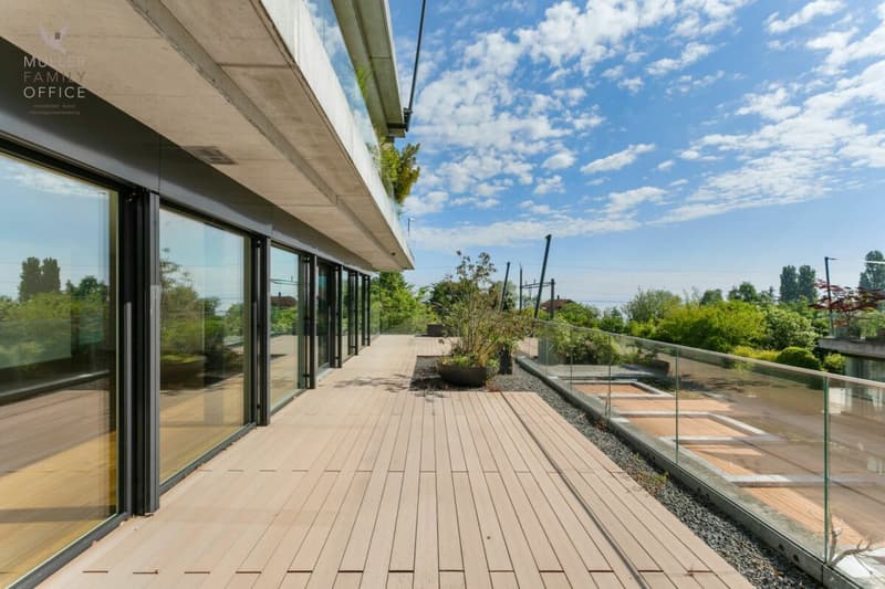Lichtdurchflutete 5 1/2 Zimmer-Terrassen-Wohnung in sehr gepflegter und ruhiger Wohnanlage (4)