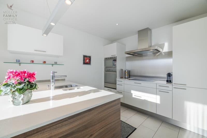 Schöne und sehr gepflegte 4 1/2 Zimmer-Wohnung in der  Überbauung "Alti Moschti" (7)