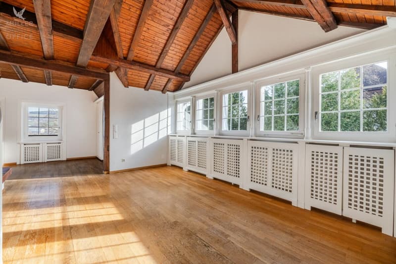 Repräsentative Jugendstilvilla (mit 4 Wohnungen) an privilegierter Lage am Rosenberg (12)
