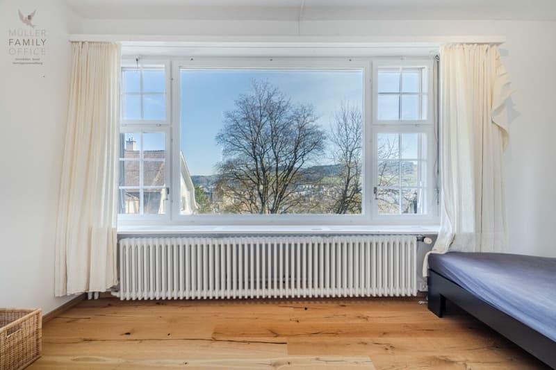 Repräsentative Jugendstilvilla (mit 4 Wohnungen) an privilegierter Lage am Rosenberg (13)