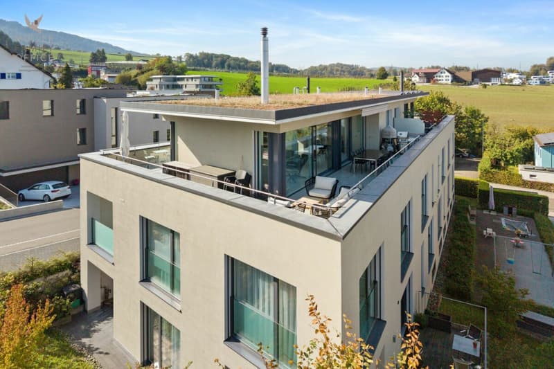 Neuwertige 5 1/2 Zimmer-Attika-Maisonettewohnung mit traumhafter Seesicht (3)