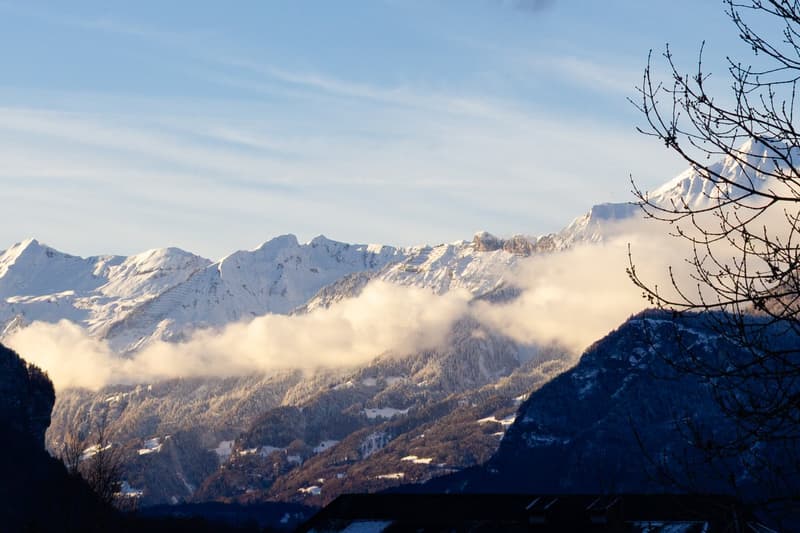 mountains, snow, trees, sky