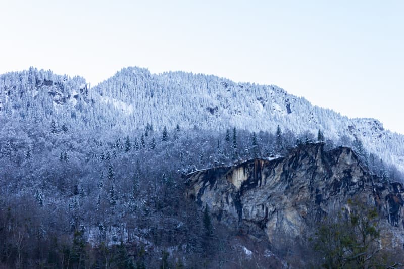 Snow-covered mountain with trees, rocky cliff, clear sky
