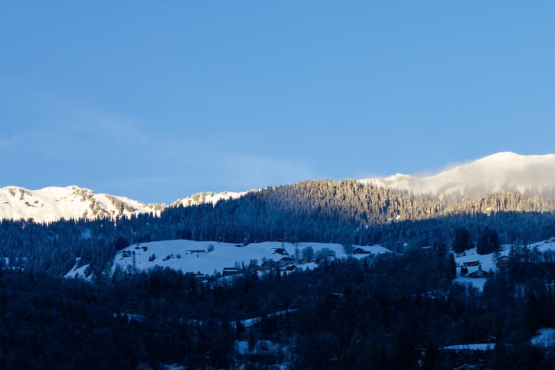 snowy mountains, pine trees, houses, clear blue sky