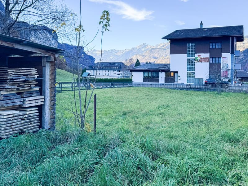 A building with a black roof and white walls, surrounded by a fence, with a car parked in front. A wooden storage shed with stacked wood is on the left side. A grassy field with a small tree and a mountain range in the background.