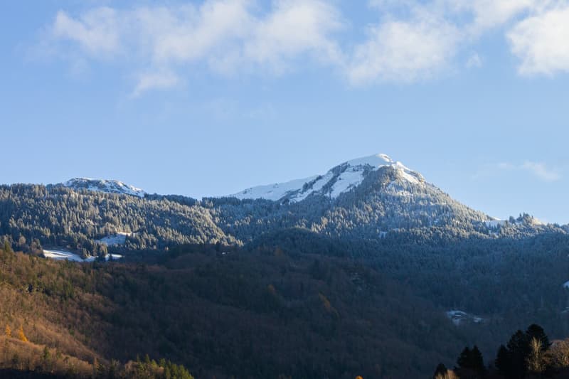 Mountain landscape with snow-capped peaks, dense forest, and a clear blue sky.