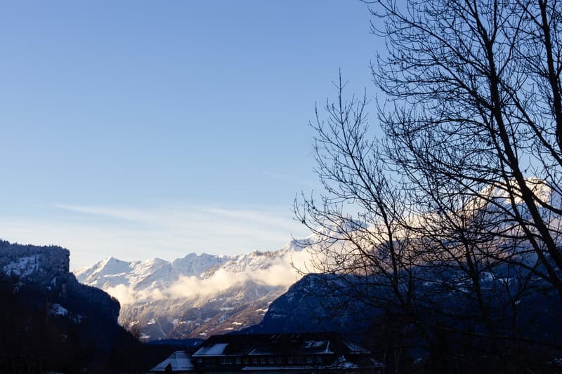 Snowy mountains, trees, house, clear sky