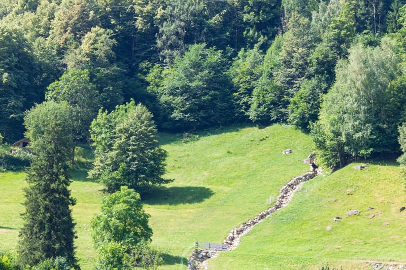 Ein Grundstück inmitten der Berge (6)