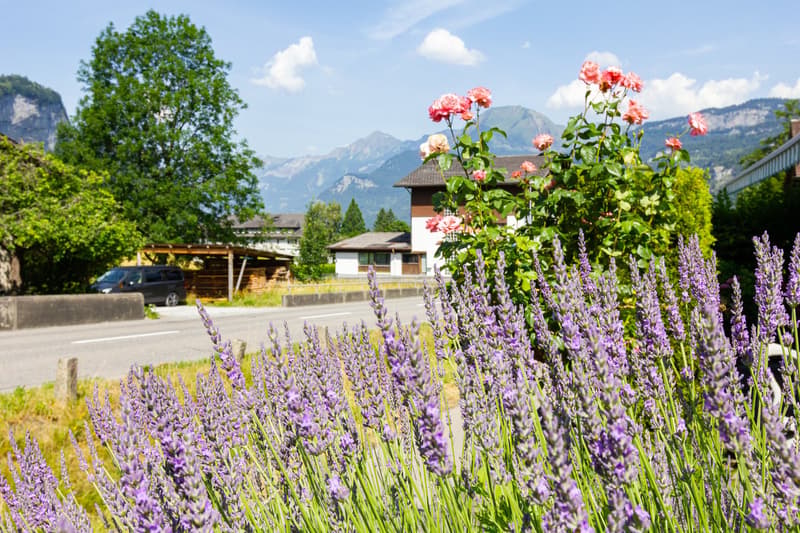 Ein Grundstück inmitten der Berge (5)
