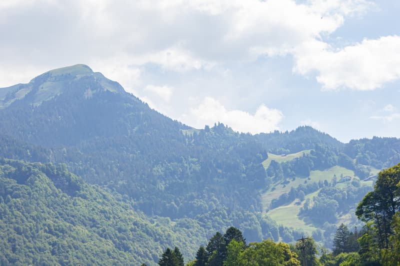 Ein Grundstück inmitten der Berge (13)