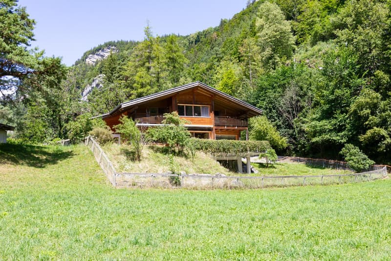 Ein Haus des Neuanfangs (1)