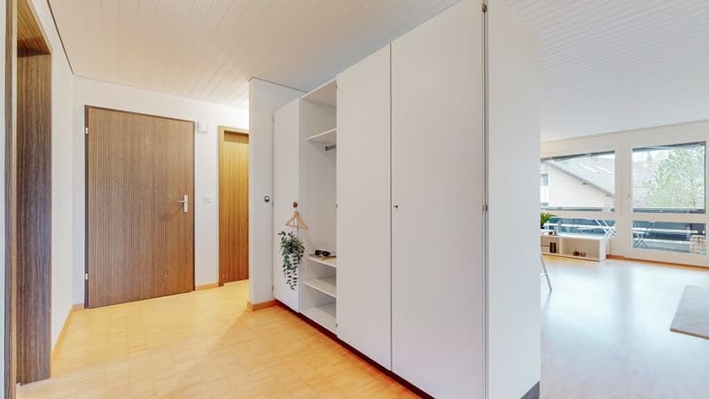 4.5-Zi-Whg-in-Langnau-Eingang.jpg