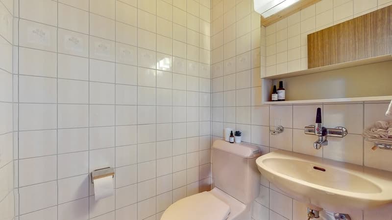35-Zimmer-Wohnung-in-Langnau-iE-WC-DG.jpg