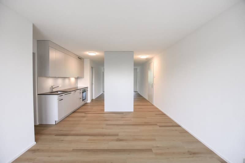 Erstbezug - 4.5-Zimmerwohnung (1)