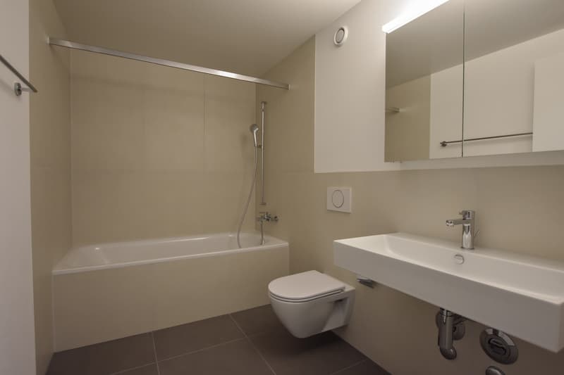 Erstbezug - 4.5-Zimmerwohnung (13)