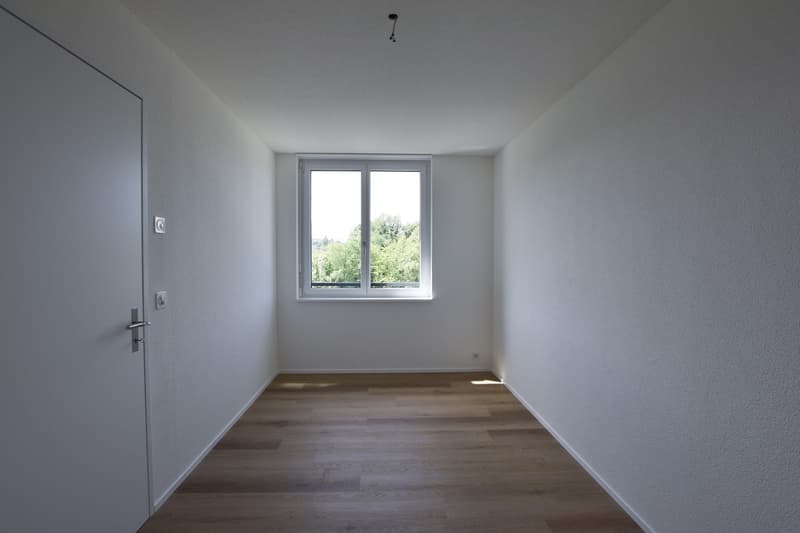Erstbezug - 4.5-Zimmerwohnung (10)