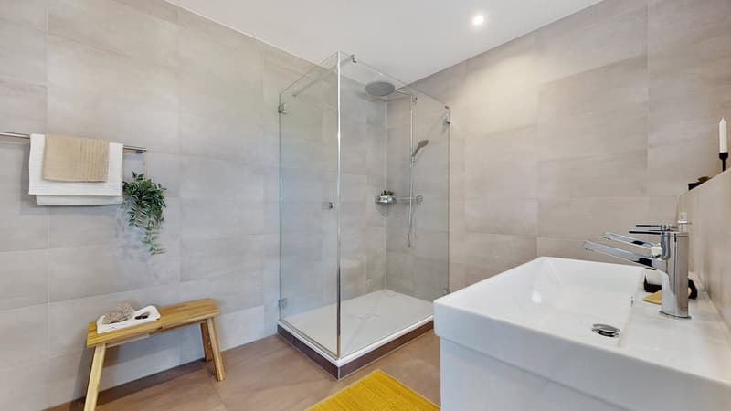 45-Zimmer-Penthouse-Dusche-WC.jpg