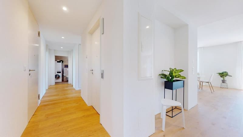 45-Zimmer-Penthouse-Eingangsbereich.jpg