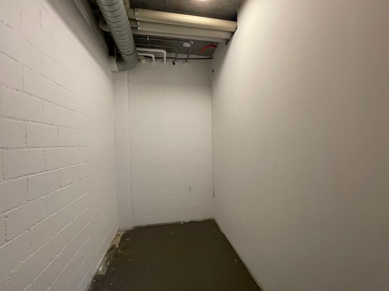 Empty room with white brick walls, concrete floor, pipes on the ceiling