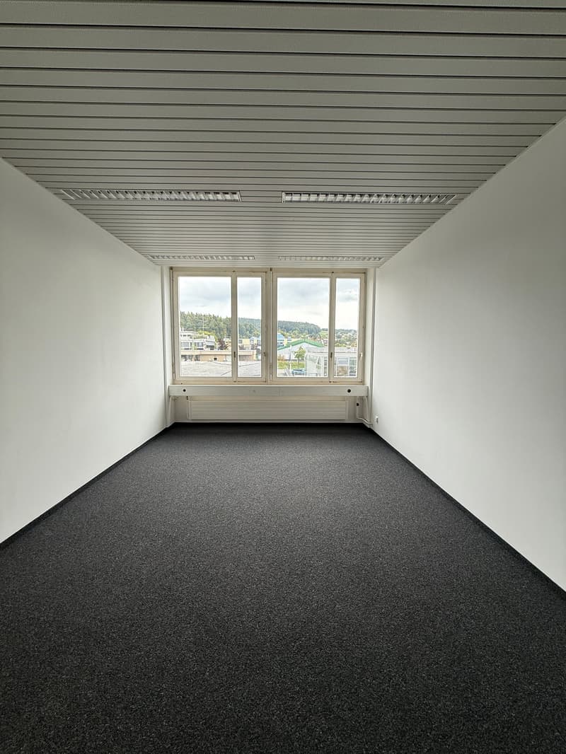 Empty room, white walls, black carpet, ceiling, big window