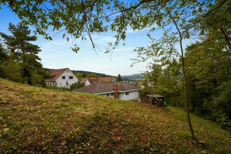 hillside, wooded area, two houses, sunny weather