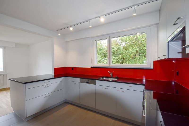 Red and black countertop, white cabinets, silver appliances, sink with faucet, dishwasher, white ceiling, wooden floor